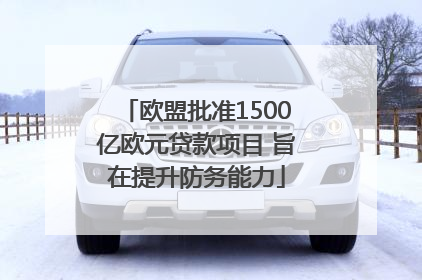 欧盟批准1500亿欧元贷款项目 旨在提升防务能力