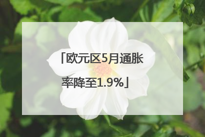欧元区5月通胀率降至1.9%