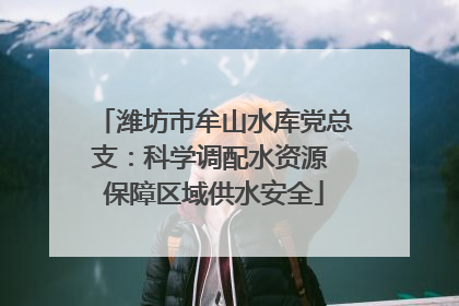 潍坊市牟山水库党总支：科学调配水资源 保障区域供水安全