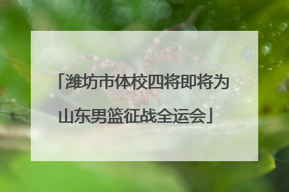 潍坊市体校四将即将为山东男篮征战全运会