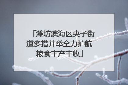 潍坊滨海区央子街道多措并举全力护航粮食丰产丰收