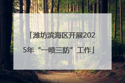 潍坊滨海区开展2025年“一喷三防”工作
