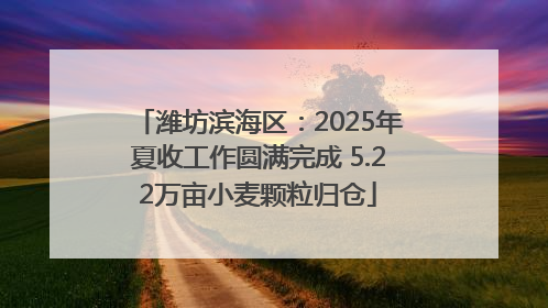 潍坊滨海区：2025年夏收工作圆满完成 5.22万亩小麦颗粒归仓