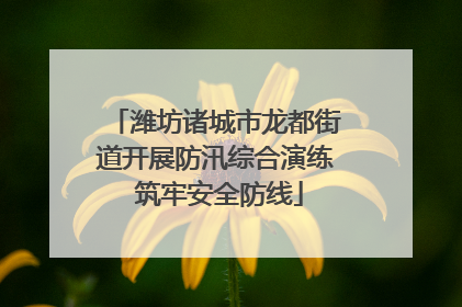 潍坊诸城市龙都街道开展防汛综合演练 筑牢安全防线