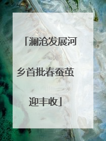 澜沧发展河乡首批春蚕茧迎丰收