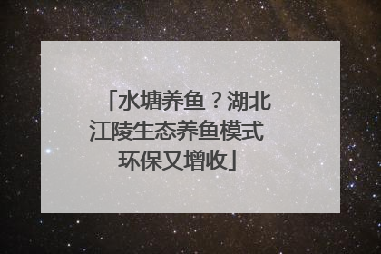 水塘养鱼？湖北江陵生态养鱼模式环保又增收