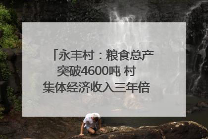 永丰村：粮食总产突破4600吨 村集体经济收入三年倍增｜牵挂的村