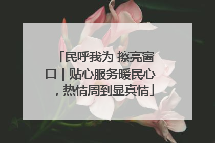 民呼我为 擦亮窗口｜贴心服务暖民心，热情周到显真情