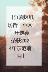江夏区纸坊街一小区一年逆袭 荣获2024年示范项目