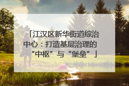 江汉区新华街道综治中心：打造基层治理的“中枢”与“堡垒”