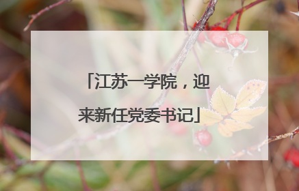 江苏一学院，迎来新任党委书记