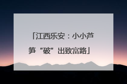 江西乐安：小小芦笋“破”出致富路
