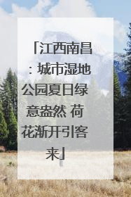 江西南昌：城市湿地公园夏日绿意盎然 荷花渐开引客来