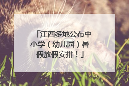 江西多地公布中小学（幼儿园）暑假放假安排！