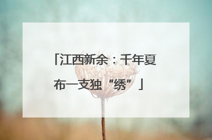 江西新余：千年夏布一支独“绣”
