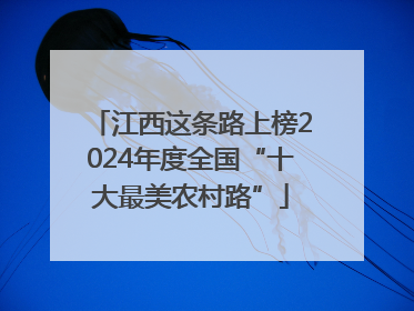 江西这条路上榜2024年度全国“十大最美农村路”
