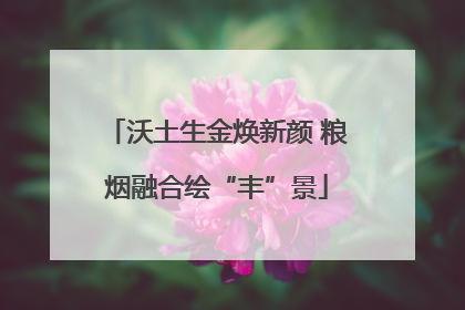 沃土生金焕新颜 粮烟融合绘“丰”景