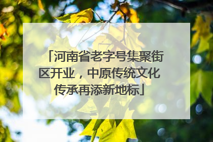 河南省老字号集聚街区开业，中原传统文化传承再添新地标