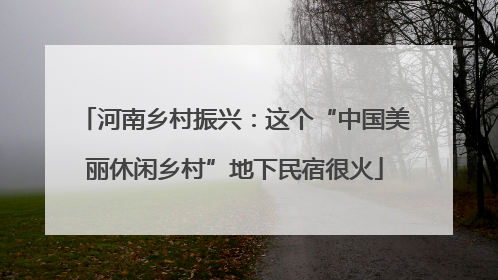 河南乡村振兴：这个“中国美丽休闲乡村”地下民宿很火