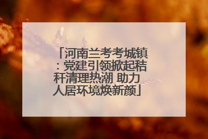 河南兰考考城镇：党建引领掀起秸秆清理热潮 助力人居环境焕新颜