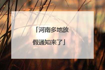 河南多地放假通知来了