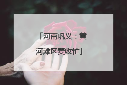 河南巩义：黄河滩区麦收忙