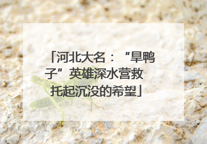 河北大名：“旱鸭子”英雄深水营救 托起沉没的希望