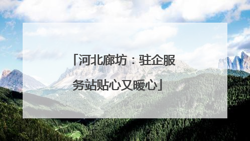 河北廊坊：驻企服务站贴心又暖心