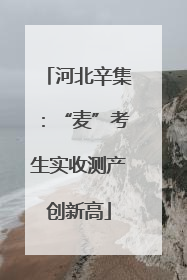河北辛集：“麦”考生实收测产创新高
