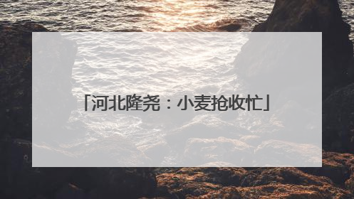 河北隆尧：小麦抢收忙