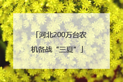 河北200万台农机备战“三夏”
