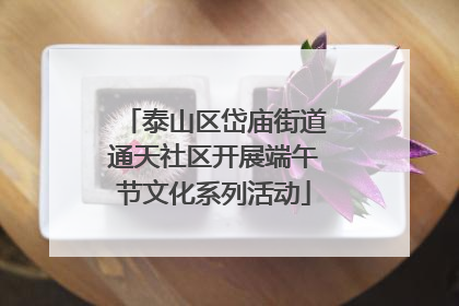 泰山区岱庙街道通天社区开展端午节文化系列活动