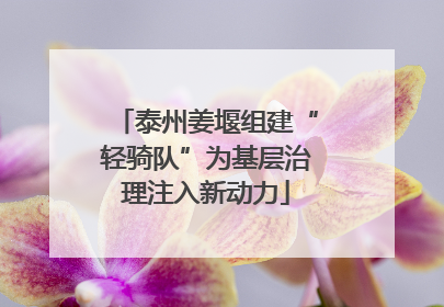泰州姜堰组建“轻骑队”为基层治理注入新动力