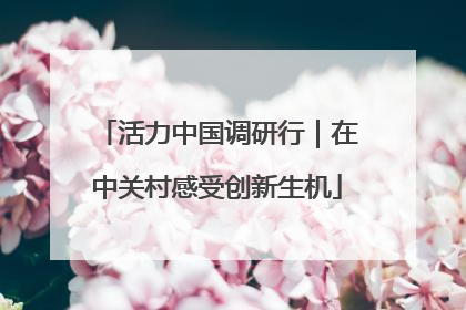 活力中国调研行｜在中关村感受创新生机