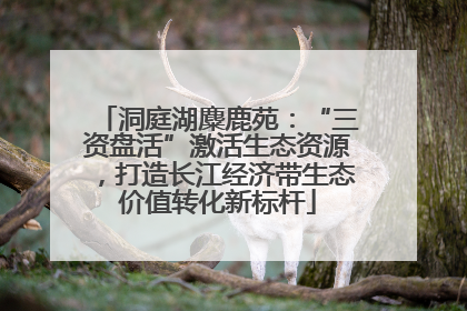 洞庭湖麋鹿苑：“三资盘活”激活生态资源，打造长江经济带生态价值转化新标杆