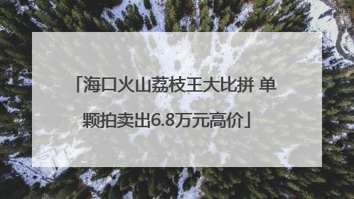 海口火山荔枝王大比拼 单颗拍卖出6.8万元高价