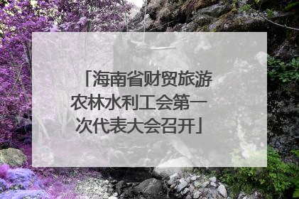 海南省财贸旅游农林水利工会第一次代表大会召开