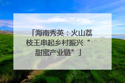 海南秀英：火山荔枝王串起乡村振兴“甜蜜产业链”