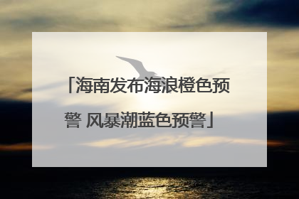 海南发布海浪橙色预警 风暴潮蓝色预警