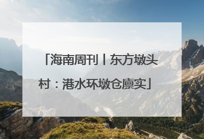 海南周刊丨东方墩头村：港水环墩仓廪实