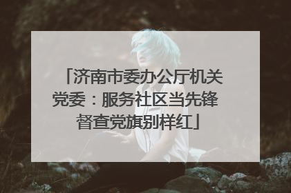 济南市委办公厅机关党委：服务社区当先锋 督查党旗别样红