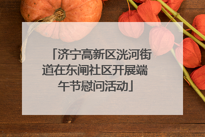 济宁高新区洸河街道在东闸社区开展端午节慰问活动