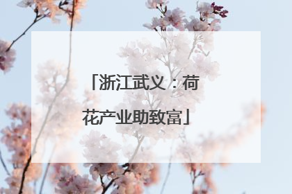 浙江武义：荷花产业助致富