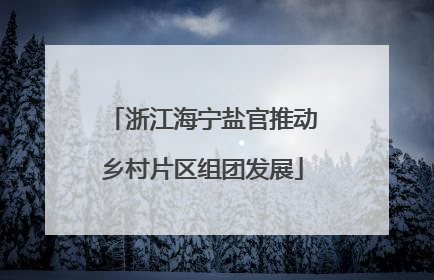 浙江海宁盐官推动乡村片区组团发展