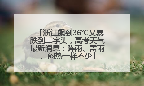浙江飙到36℃又暴跌到二字头，高考天气最新消息：阵雨、雷雨、闷热一样不少