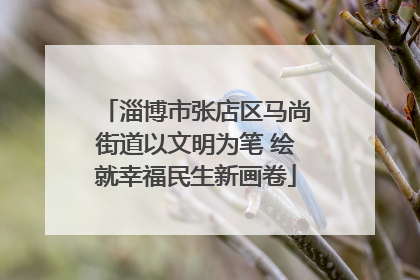 淄博市张店区马尚街道以文明为笔 绘就幸福民生新画卷