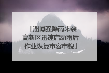 淄博强降雨来袭 高新区迅速启动雨后作业恢复市容市貌