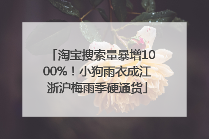 淘宝搜索量暴增1000%！小狗雨衣成江浙沪梅雨季硬通货