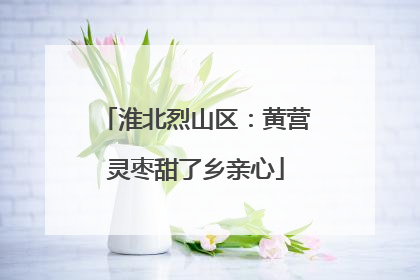 淮北烈山区：黄营灵枣甜了乡亲心