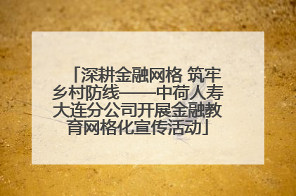 深耕金融网格 筑牢乡村防线——中荷人寿大连分公司开展金融教育网格化宣传活动